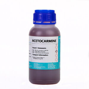 Acetocarmine